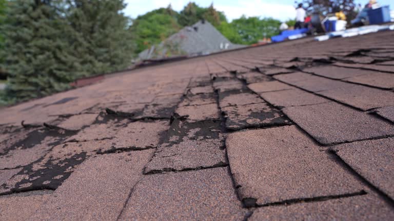 Best Steel Roofing  in Clear Lake Shores, TX